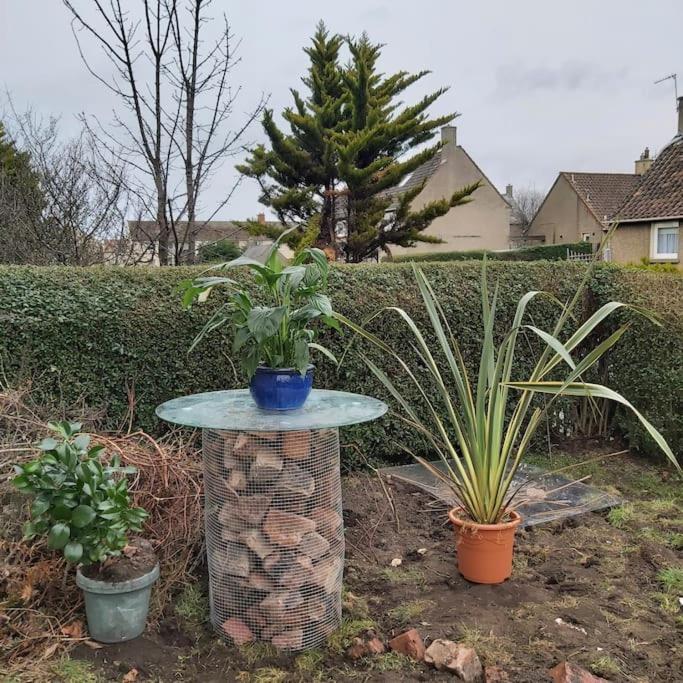 White House In Edinburgh, 2 Bedroom Good Location Екстер'єр фото